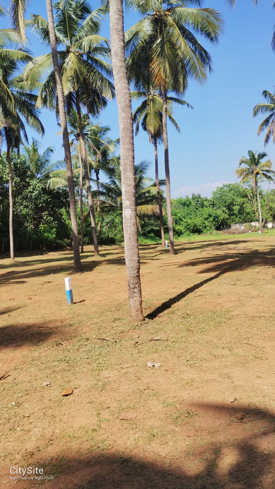 Residential plot for sale