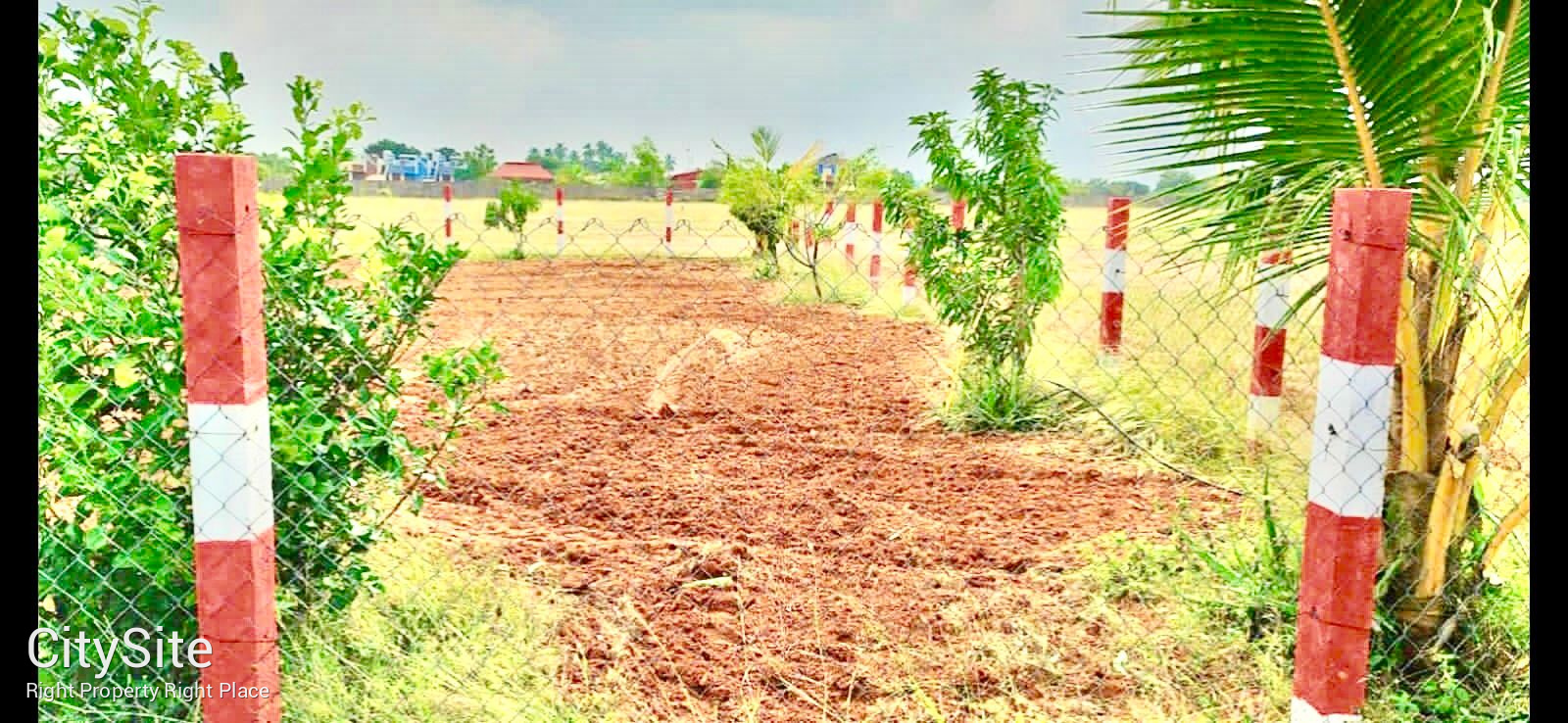 பண்ணை நிலம்