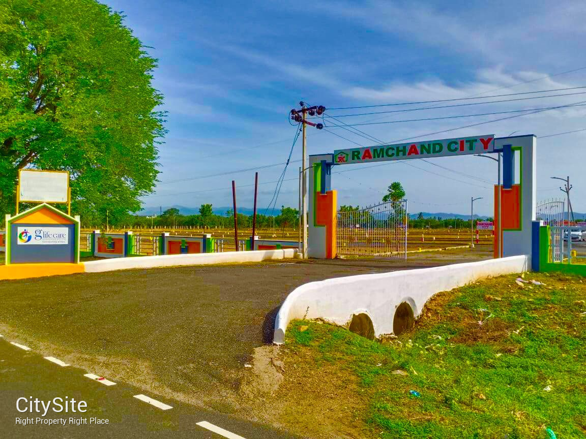 Trichy Plots