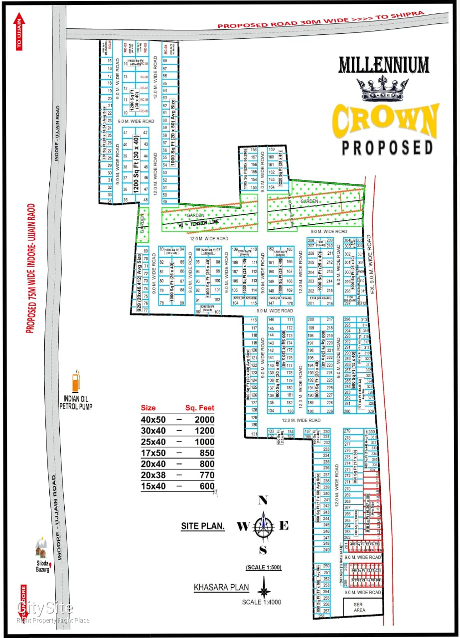 millenium crown